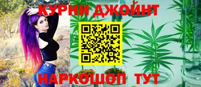 сатива Гай