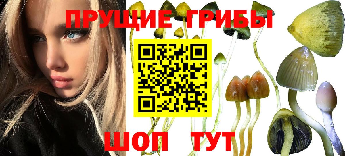 Свободный  Галлюциногенные грибы мицелий  Вход с VPN 